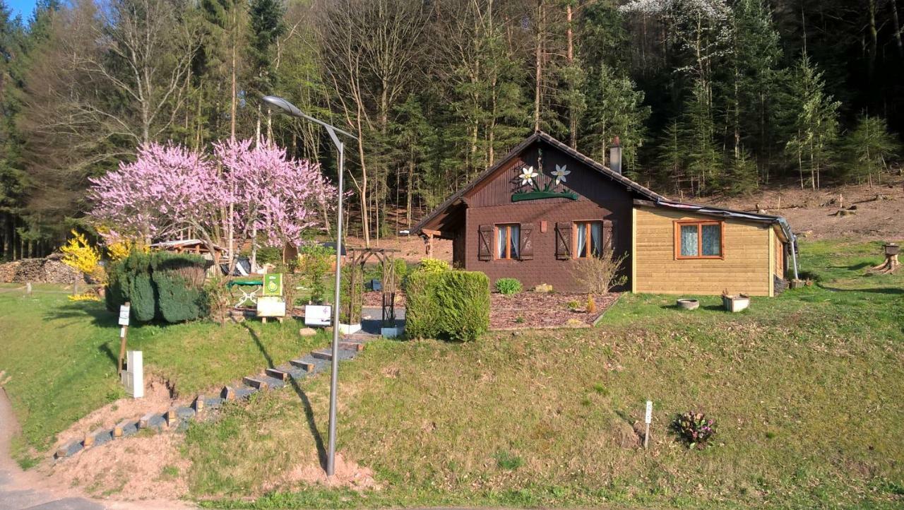 Gite Bien-Etre Walscheid Bagian luar foto